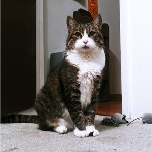 Meet your Posher, Corine